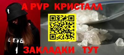 PSILOCYBIN Нальчик