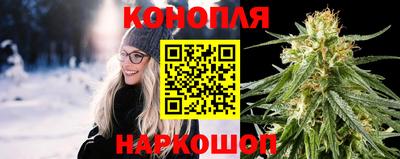 PSILOCYBIN Нальчик